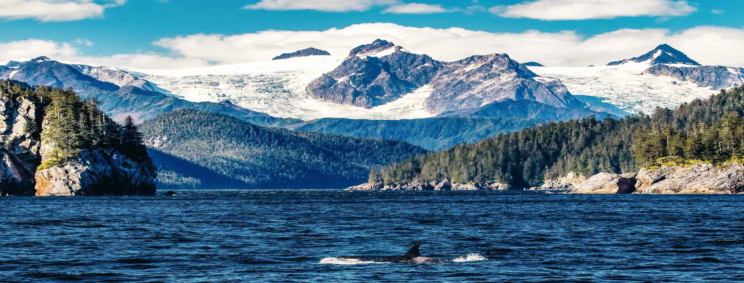 Image for Kenai Fjords